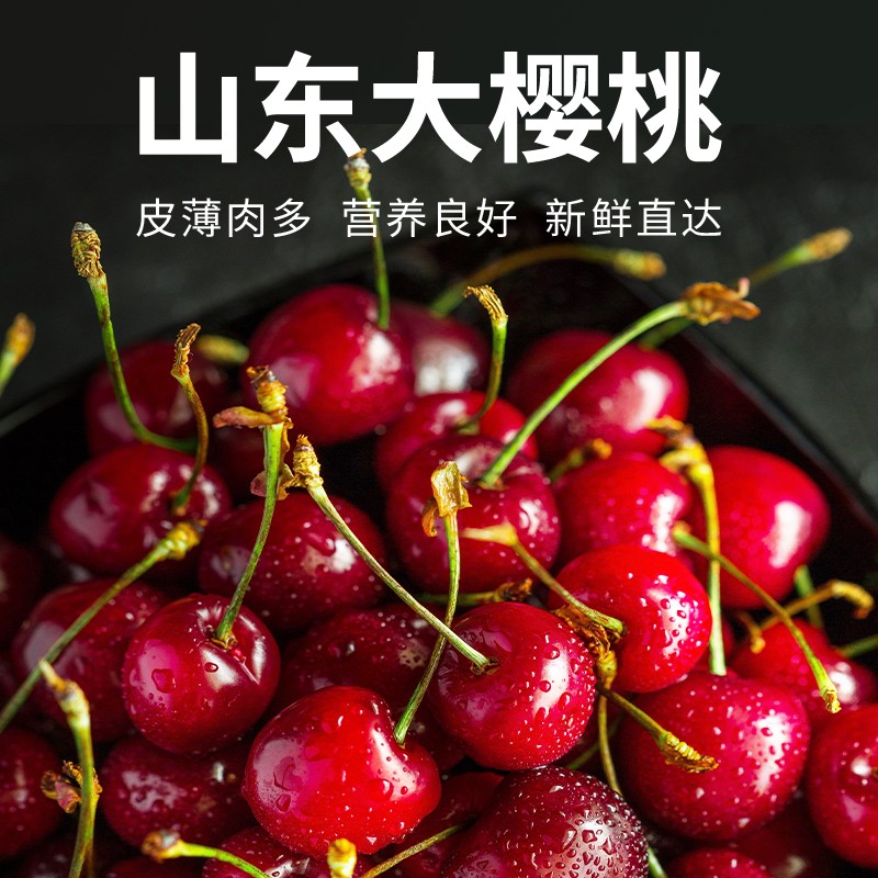 山东新鲜现摘脆甜大樱桃水果坏果包赔