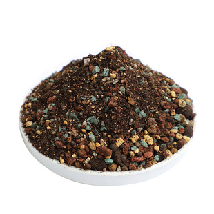 颗粒土多肉植物营养土仙人球专用土多肉老桩用土7:3颗粒:营养土