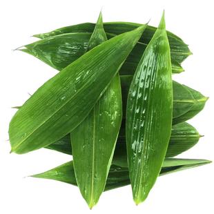 粽叶粽子叶免邮新鲜大号粽叶包粽子叶子粽粑叶非芦苇叶野生100片