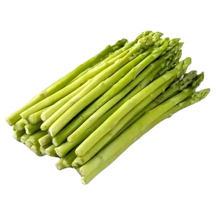 四季芦笋种子阳台盆栽芦笋籽种上海露笋莒县绿笋青笋紫芦笋蔬菜籽