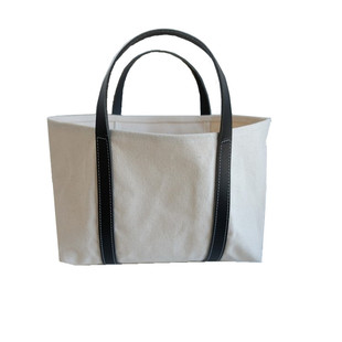 韩国夏季2023上新大容量手提单肩购物包春夏季百搭ins帆布女包