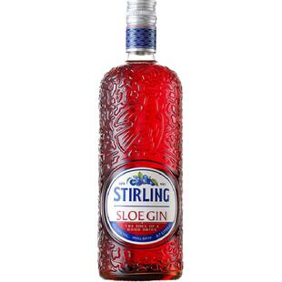 【国际烈酒大赛金奖】荷兰进口萨格利黑刺李金酒洋酒鸡尾酒700ml