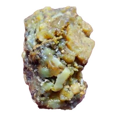 阿魏新疆钓鱼窝料包邮