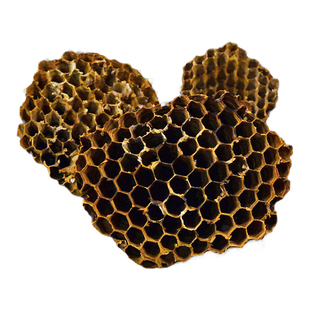 蜂房中药材小药仙正品野生山蜂房硬蜂窝露蜂房粉土蜂房蜂巢