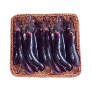 产地直发东北紫把茄子红烧茄子蒜茄子新鲜紫茄子整箱发
