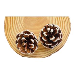 落叶松花圣诞小松果装饰儿童手工创意手工diy幼儿园摆件材料装饰