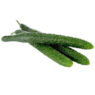 津研四号黄瓜种子老品种口感好