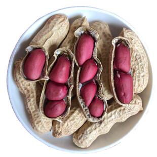 2025农家红皮花生炒熟花生晒干带壳新鲜湿花生四粒红种子生花生仁