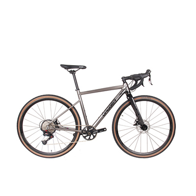 捅轴公路自行车DAGGER全新正品