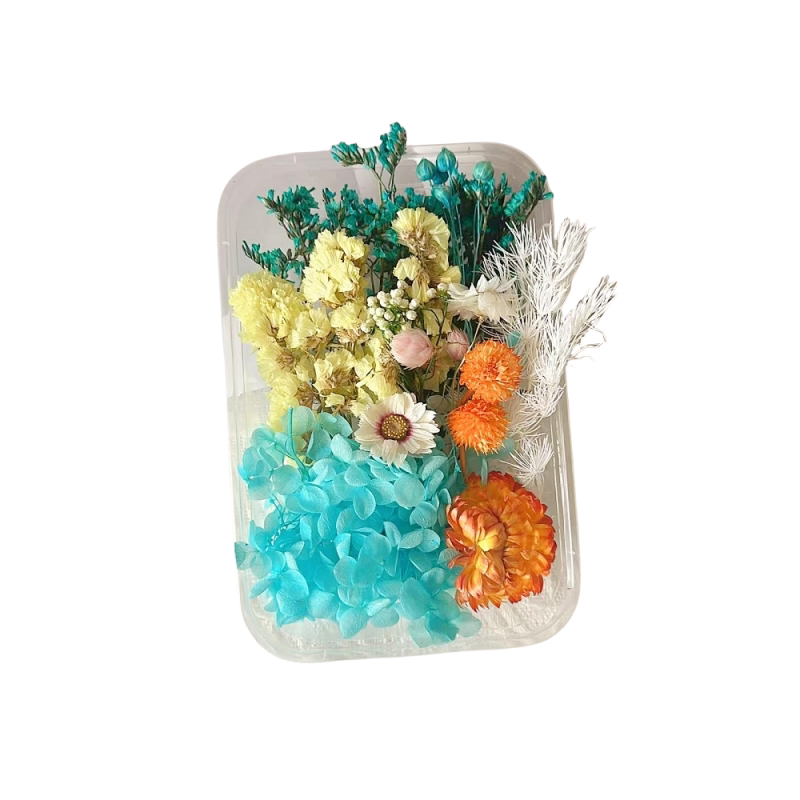 永生花材料包干花相框团扇画贺卡干花手工天然真花盒滴胶diy沙龙