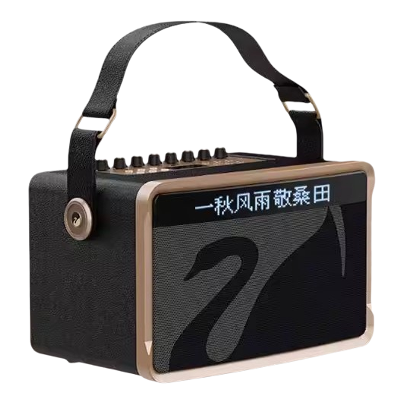 惠威Q6便携手提唱歌蓝牙大声音箱