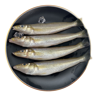 北海沙丁鱼新鲜冷冻深海鱼去鳞鳃去内脏料理海鲜特大沙尖鱼沙钻鱼