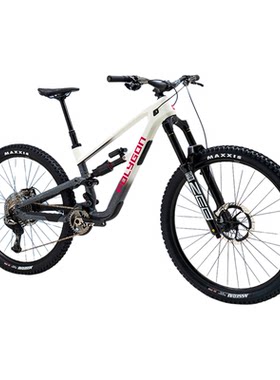 POLYGONN9Di2碳纤维山地自行车