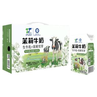 【精美包装】天太乳业茉莉雪芽牛奶 250ml*6盒儿童学生早餐奶混装