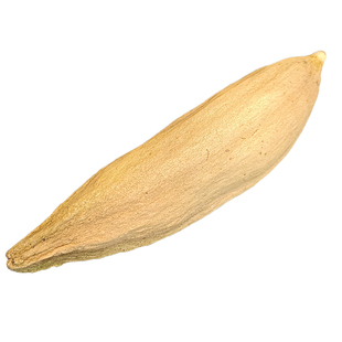 天然木棉果攀枝花枕芯有子木棉花有籽木棉带籽木棉枕头填充料含壳