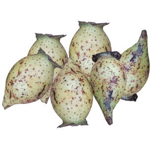 金樱子野生新鲜现摘泡酒泡茶中药材男性糖梨子全红金英子刺梨包邮