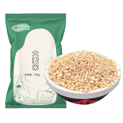 25年新东北大麦仁米五谷杂粮煮粥麦米饭可炒熟做大麦茶去皮大麦粒