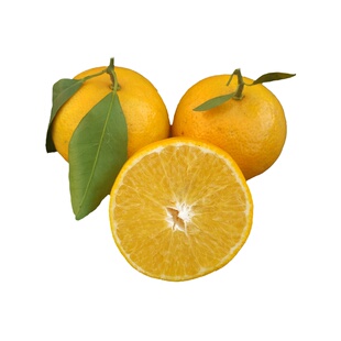 皇帝柑新鲜正宗广东德庆贡柑手剥橙孕妇当季水果特级大果10斤礼盒