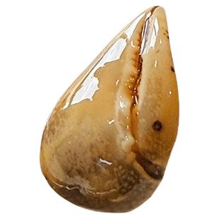 【江阴特产】鲜辣螃蜞螯即食罐装捞汁小海鲜熟食休闲零食蟹钳罐头