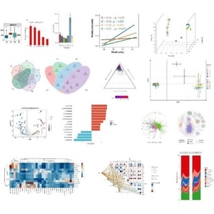 比较基因组 共线性分析 生信16s菌株鉴定 blast多序列比对 NCBI