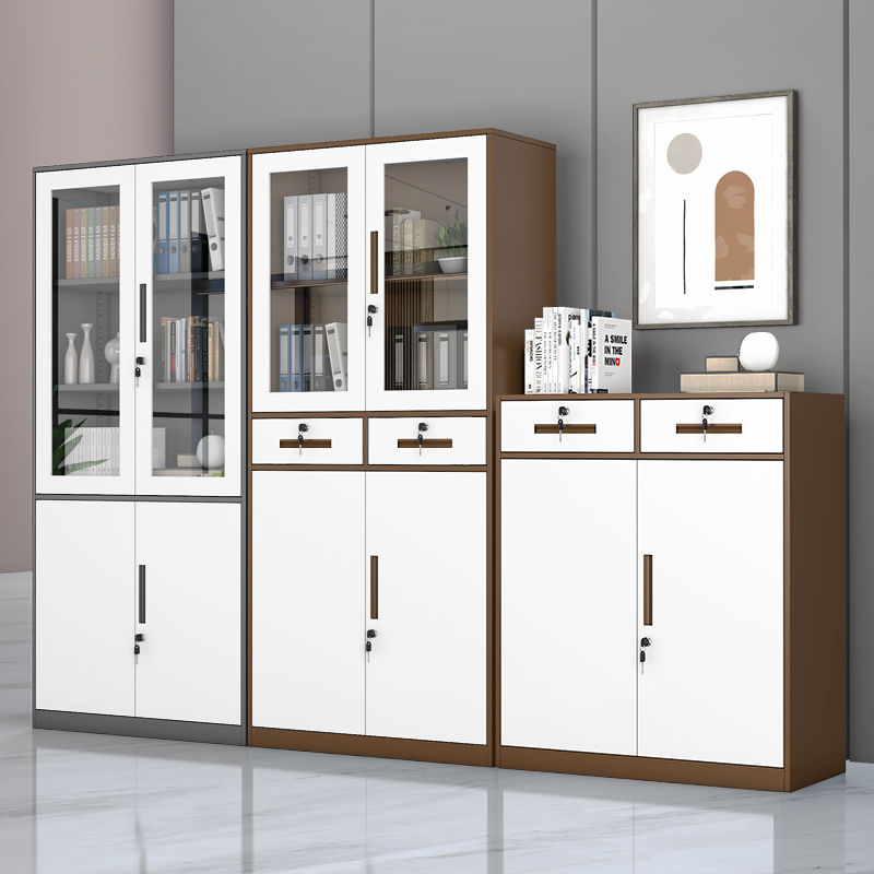 文件柜加厚款办公柜钢制柜子资料柜凭证铁皮柜储物柜柜档案柜拆装