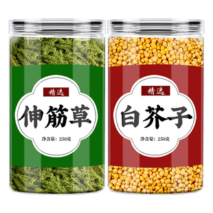 小伸筋草白芥子中药材正品组合官方旗舰店泡水喝申经舒筋草的作用