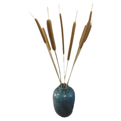 香蒲乡村原生态spa家居摆设干花