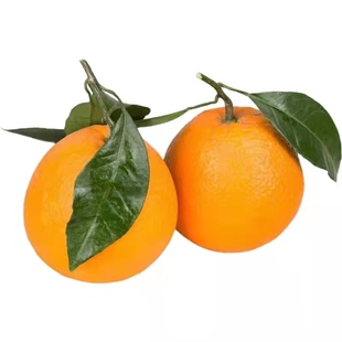 正宗重庆奉节脐橙纽荷尔长虹当季新鲜水果无籽精品果送礼产地直发