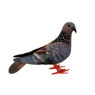 仿真白鸽子斑鸠和平鸽摆件野鸽子车载装饰品家用小鸟桌面摆放盆景