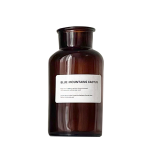 创意玻璃花瓶摆件客厅插花高级感干花花束透明餐桌家居装饰品水养