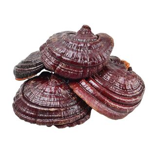 灵芝长白山灵芝切片整枝灵芝东北灵芝片天然半野生紫芝泡酒林芝