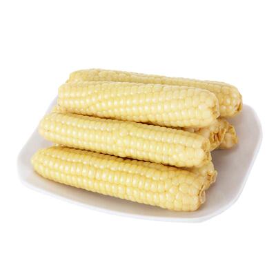 版纳拇指玉米百年品种非转基因