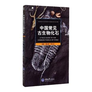 【官方正版】好奇心书系 中国常见古生物化石 唐永刚 如何寻找化石 化石的收藏与保管 中国*古生物化石群自然科普书籍重庆大学出版