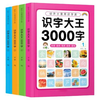 幼升小儿童识字书全套4册 识字大王3000字象形识字有故事的汉字书宝宝看图识千字教具神器启蒙教材学前班幼儿园早教认知绘早教本