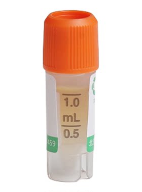 BJMCC3.897可可球二孢Lasiodiplodia theobromae来源木材北京现货