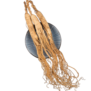 东北12年林下参移山参微残枝长白山源产地可免费切片参农一手货源