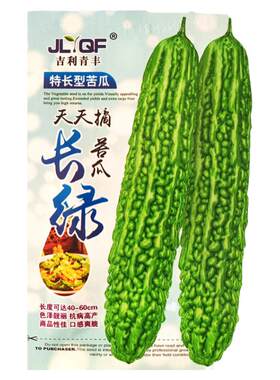 天天摘长绿苦瓜种子耐热