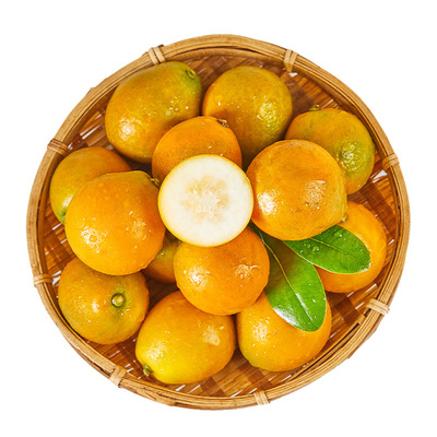第三代正宗融安脆蜜金柑顺丰速发