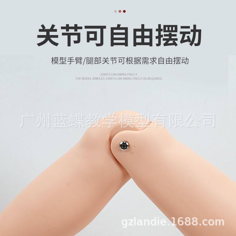 高级全功能组合护理人 男性护理训练模拟人体操作模型褥疮模块