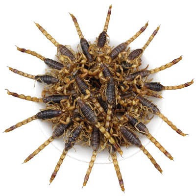 油炸蝎子活蝎子食用现炸开袋即食