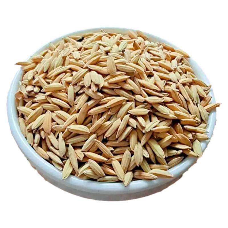 粮食农家带壳稻子喂鸡鸭喂鸡