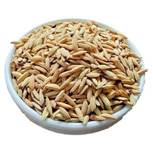 带壳稻谷饲料50斤喂鸡鸭鹅鸽子鸟食圈养禽类新原粮水稻稻子10斤