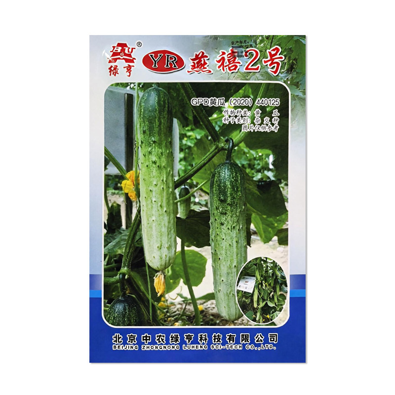绿亨YR燕禧2号黄瓜种子