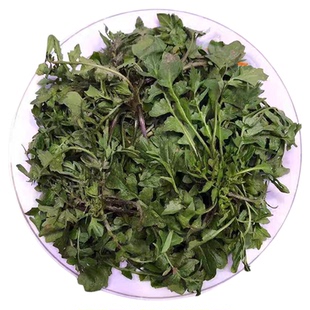 山东现挖野生荠菜新鲜荠荠菜芥菜野生地丁蔬菜水饺馄饨纯天然野生