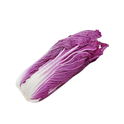 韩国进口紫宝紫色白菜千宝裔