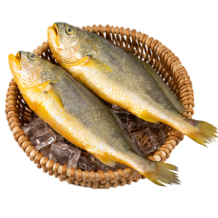 黄花鱼新鲜冷冻深海大黄鱼生鲜海鲜水产小黄鱼鲞鲜活海鱼整箱商用