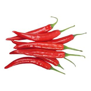 四季朝天椒苗小米辣椒苗秧超辣尖椒种子籽苗高产南方盆栽蔬菜苗孑