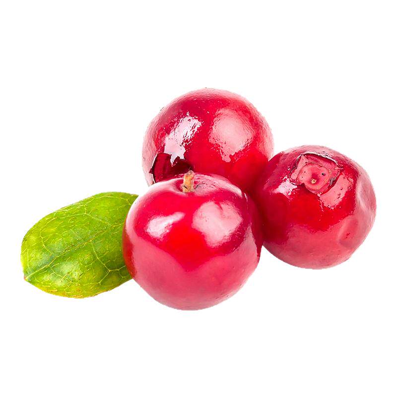 天山农夫蔓越莓干专用水果干果脯蜜饯孕妇囤年货