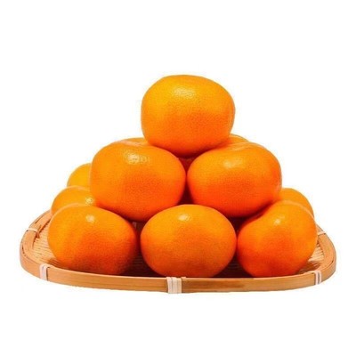 【顺丰包邮】新余蜜桔10斤现摘