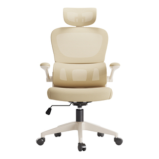 人体工学椅子舒适久坐办公椅女生护腰电脑椅卧室书桌学习椅电竞椅